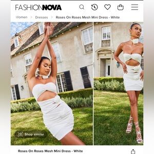NWT FASHION NOVA ROSES ON ROSES MESH MINI DRESS